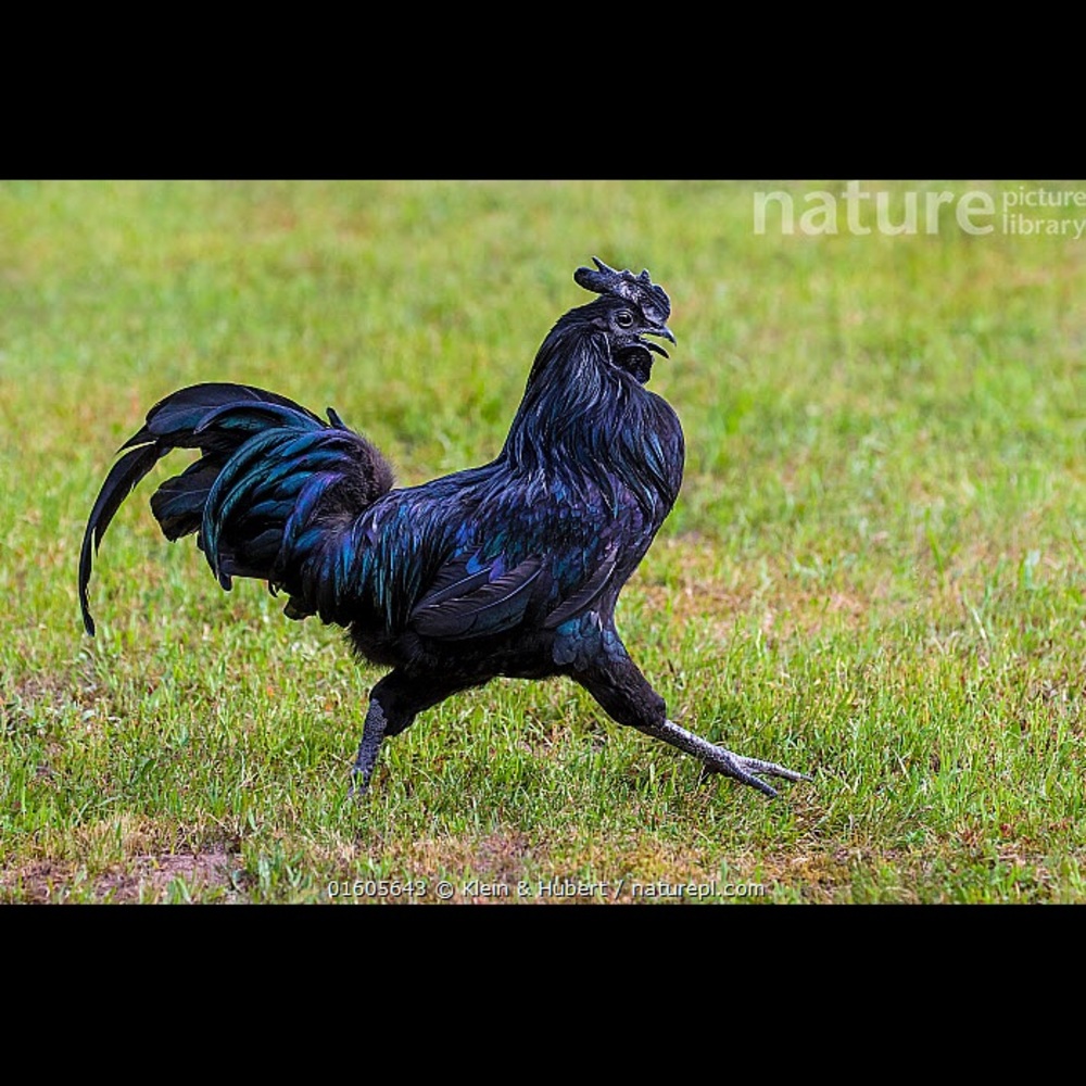 Men’s Mystery Box 5 items for $100